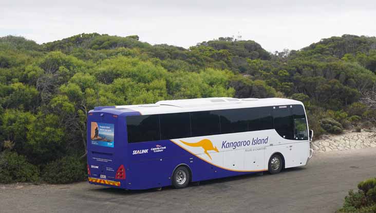 Sealink Scania K360IB Coach Design 60